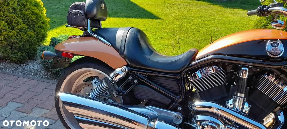 Harley-Davidson V-Rod Street Rod - 8