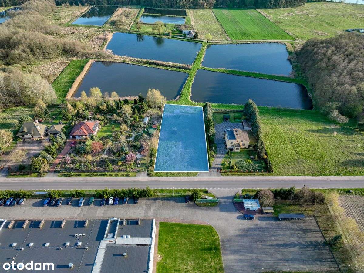 Nietuzinkowa działka w bliskości Puszczy Noteckiej-5