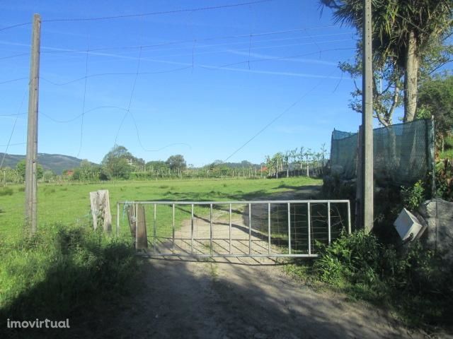 Terreno Agrícola com 13.980 m2  em Pinheiro