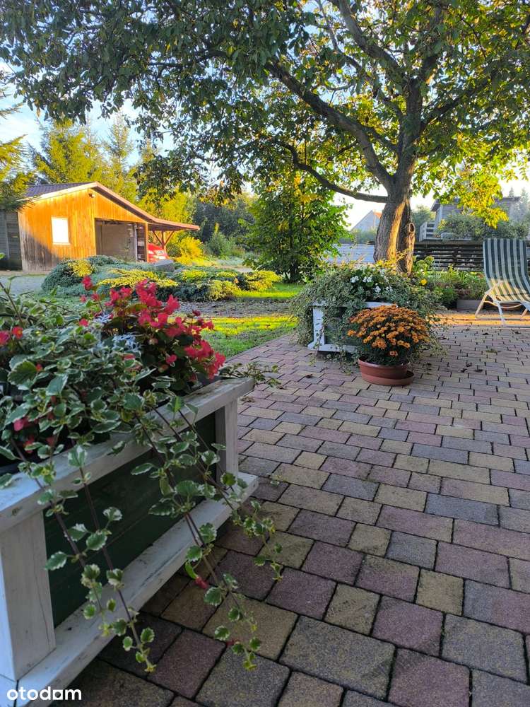 Dwa domy na jednej działce w Zamysłowie (obok Szlichtyngowej)-16