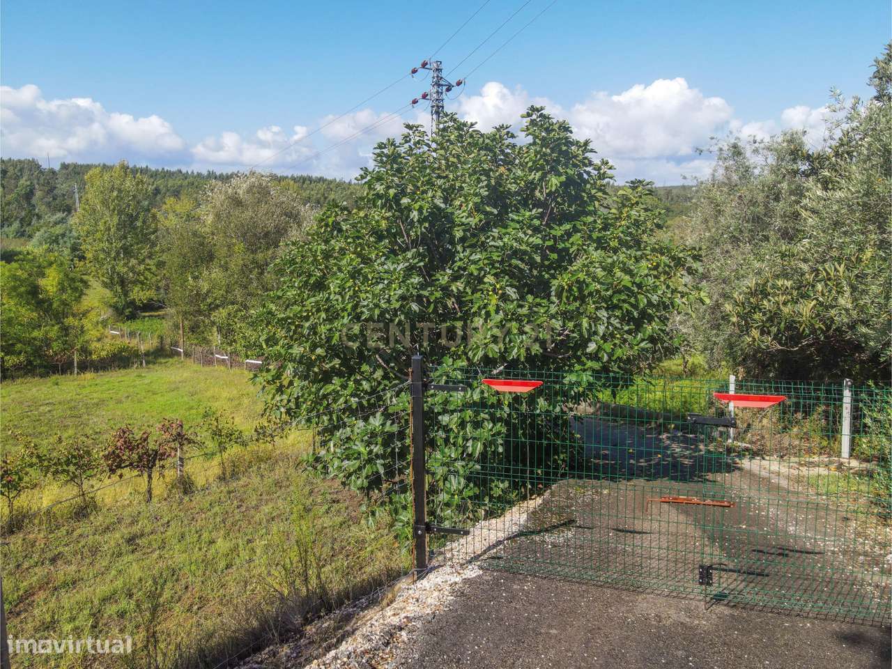 Terreno com possibilidade de construção Reguengo - Grande imagem: 4/9