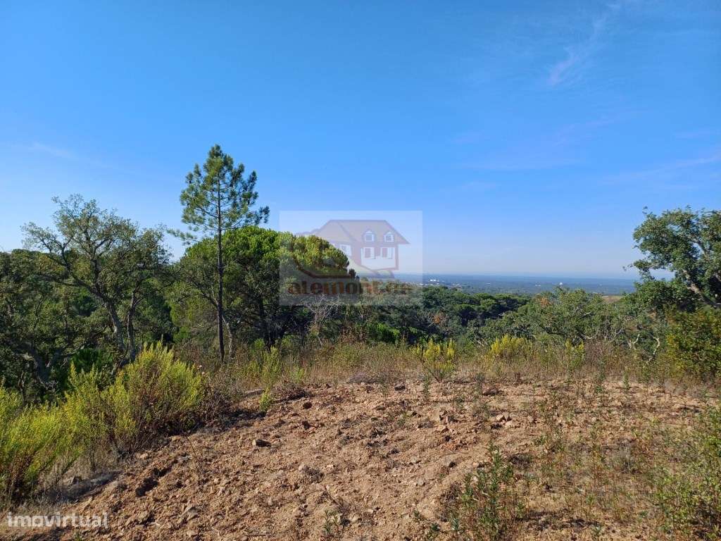 Terreno para habitação e Turismo Rural - PROJECTO APROVADO e VISTA ... - Grande imagem: 5/13