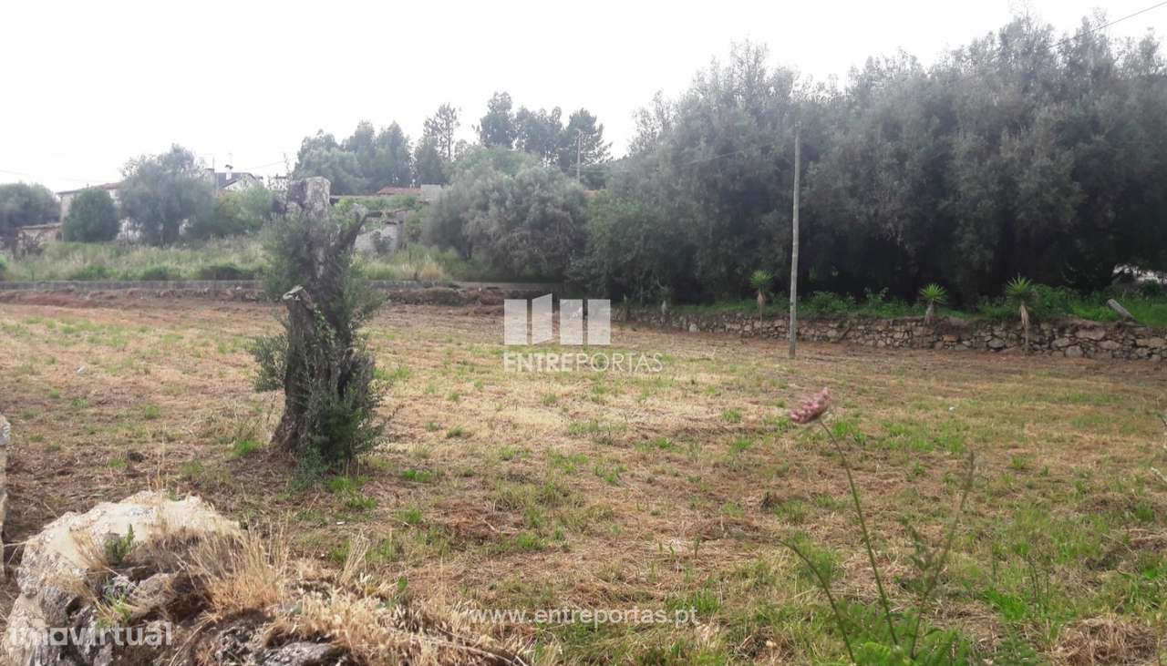 Venda de terreno, Barroselas, Viana do Castelo - Grande imagem: 4/30