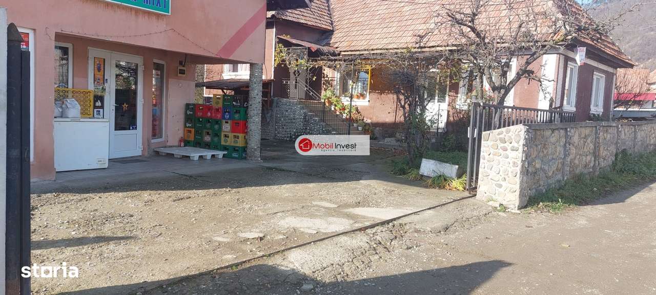 Casă cu farmec în Ampoița – liniște, natură și aer curat!-1