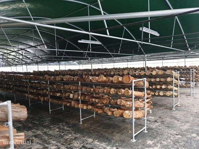 Moradia T5 para venda em Estorãos, Fafe, Braga-19