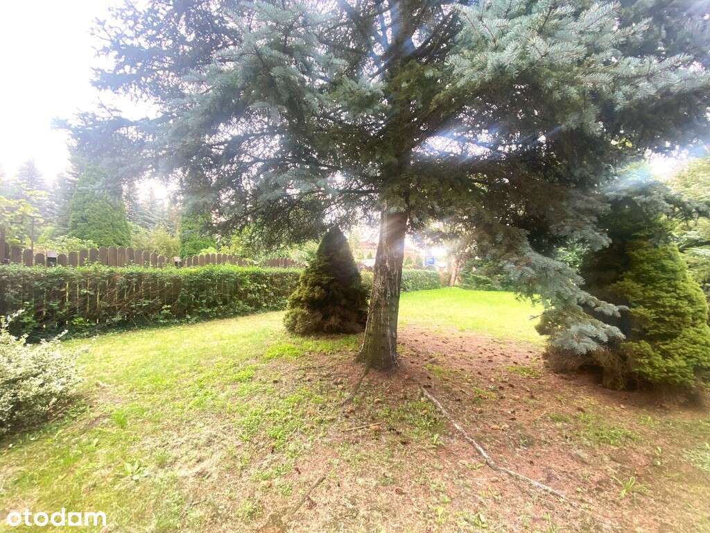 Bliżniak /5 pok/garaż/działka /Goleniów-17