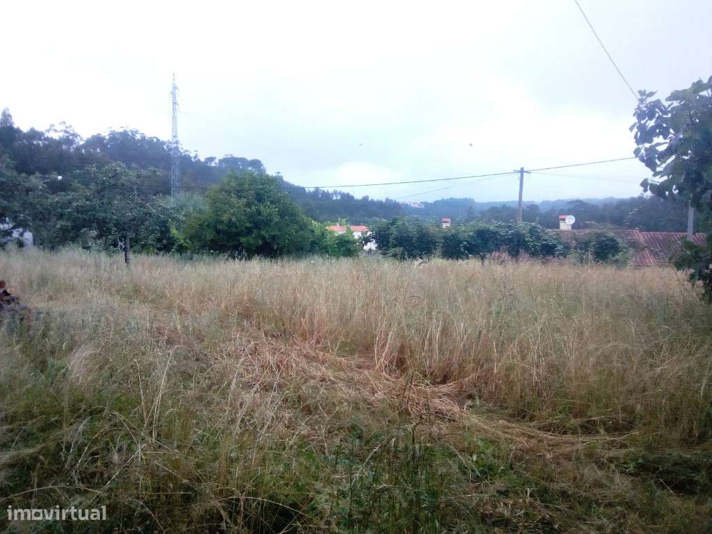 Terreno, Cidreira - Grande imagem: 4/9
