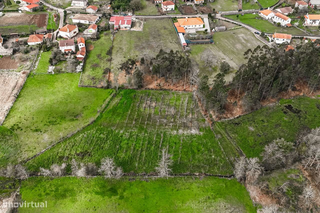 Terreno Rústico  Venda em Associação de freguesias do Vale do Neiva,Po-9