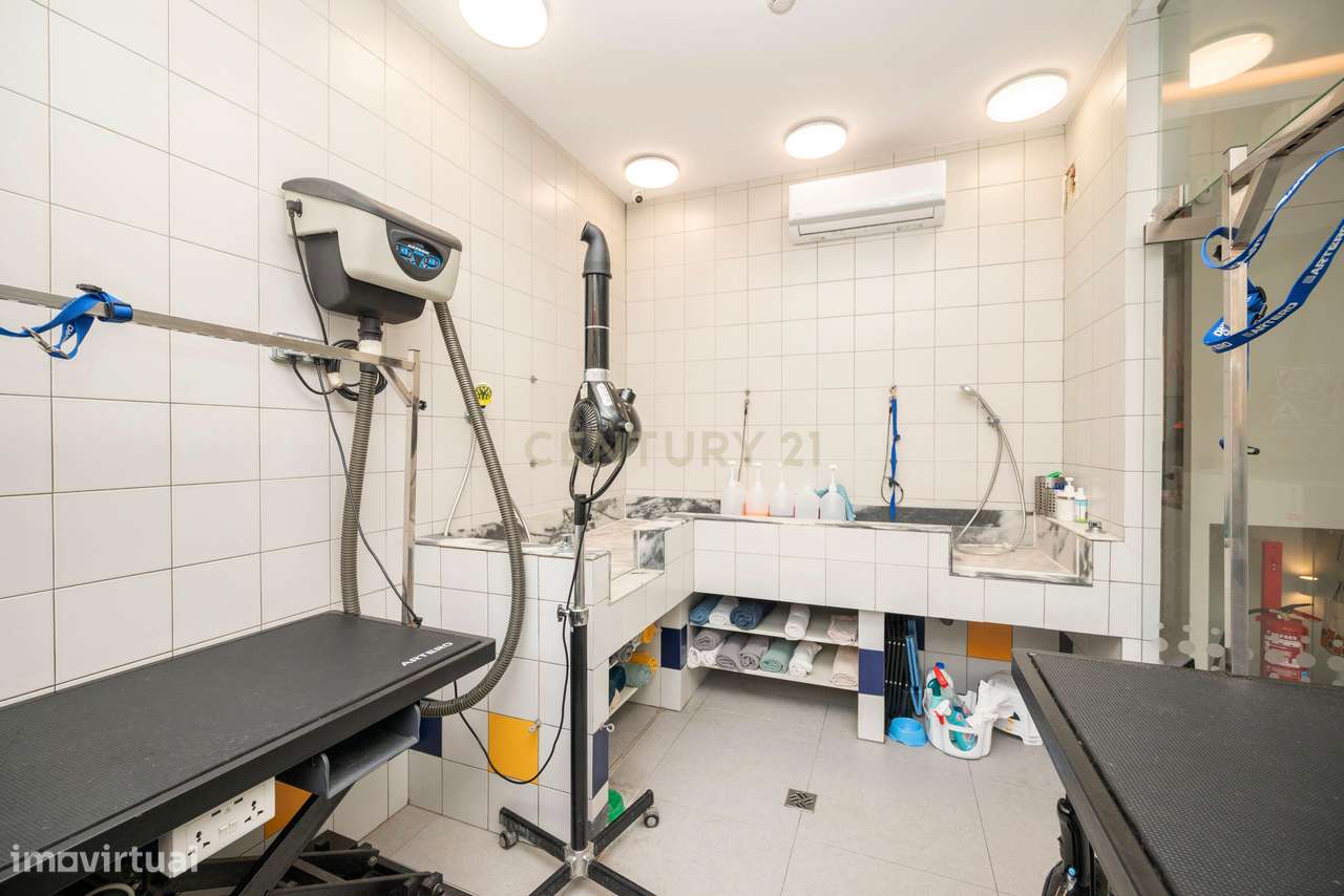 Loja à venda com negócio lucrativo! - Grande imagem: 5/26