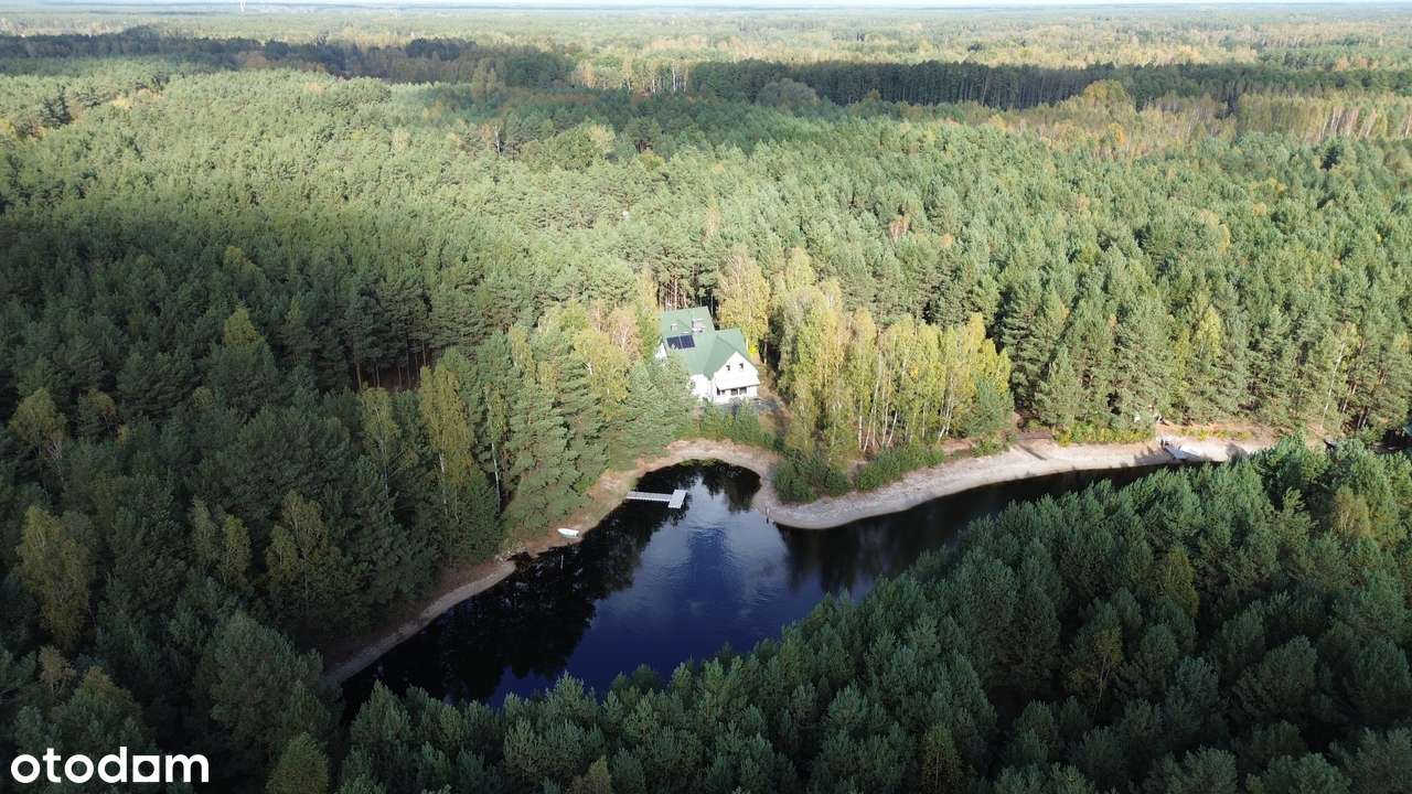 Posiadłość pod Warszawą z Basenem, własnym lasem i jeziorem.-8
