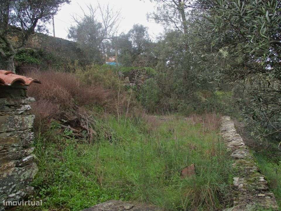 Quintinha - Grande imagem: 3/15