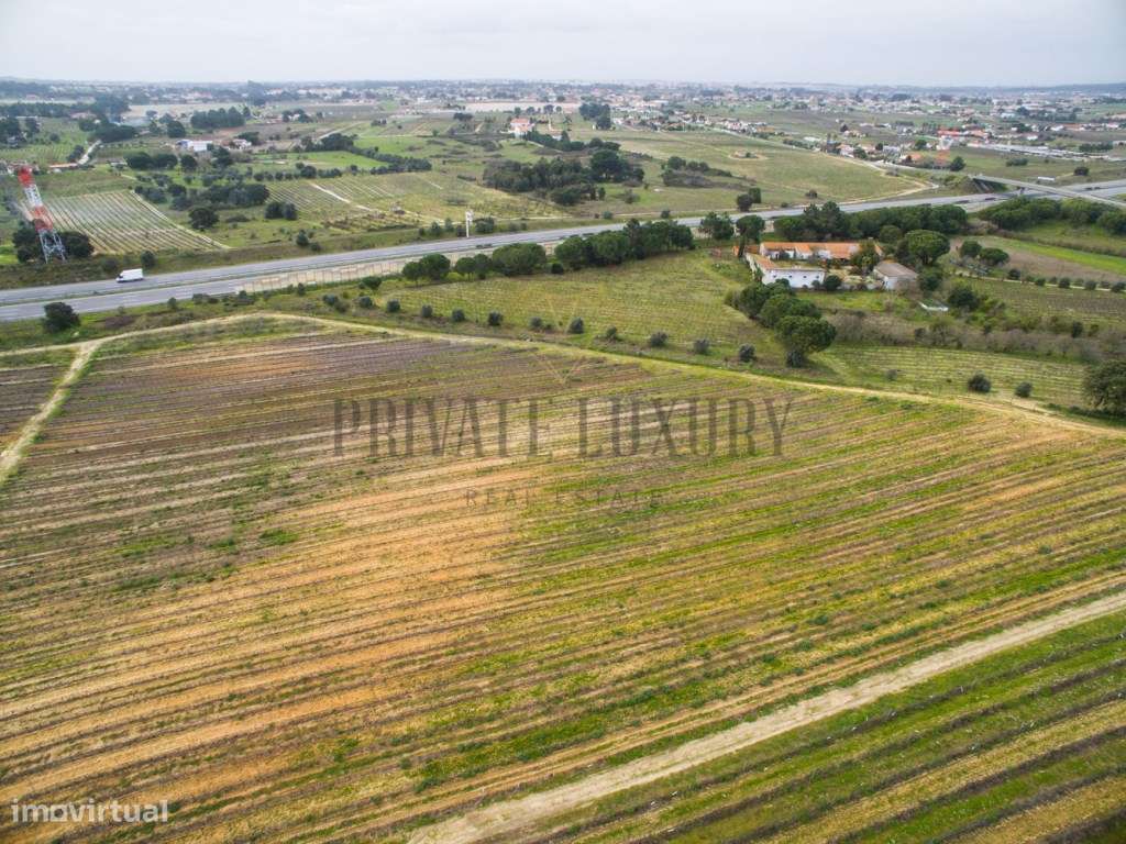 Vinhas Península de Setúbal, casas, anexos e armazém, 45Ha. - Grande imagem: 4/11