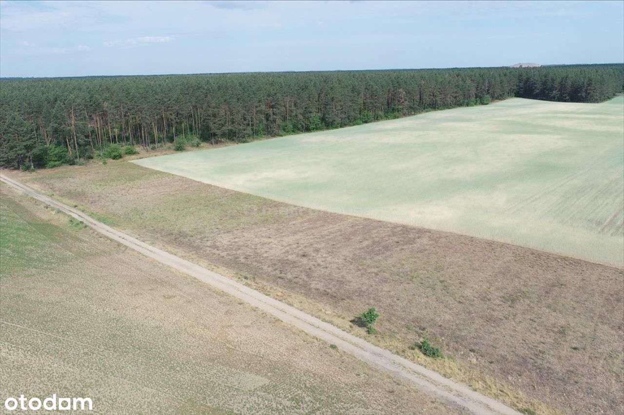 Na sprzedaż działka budowlana w Biały Bór - Pełny obrazek: 4/7