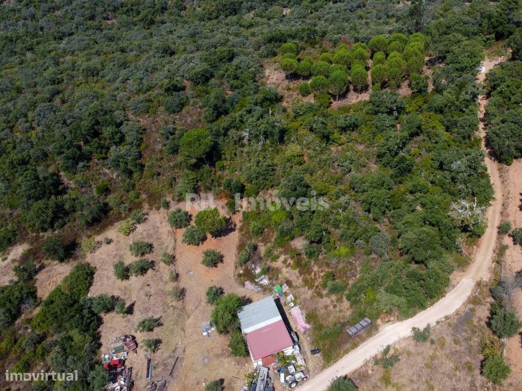 Terreno Rústico na Póvoa - Tomar - Grande imagem: 4/13