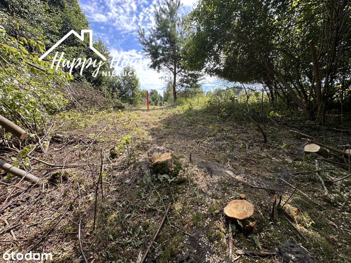 Działka nad rzeką Brdą-WZ na płaski dach-9