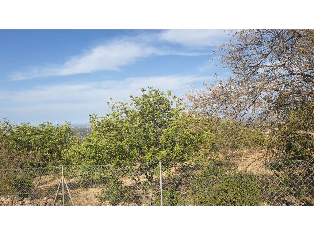 Terreno de 18.800 m2 com furo na Picota em Loulé, Algarve - Grande imagem: 5/7