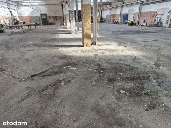 Lokal użytkowy, 5 024,50 m², Pionki-13