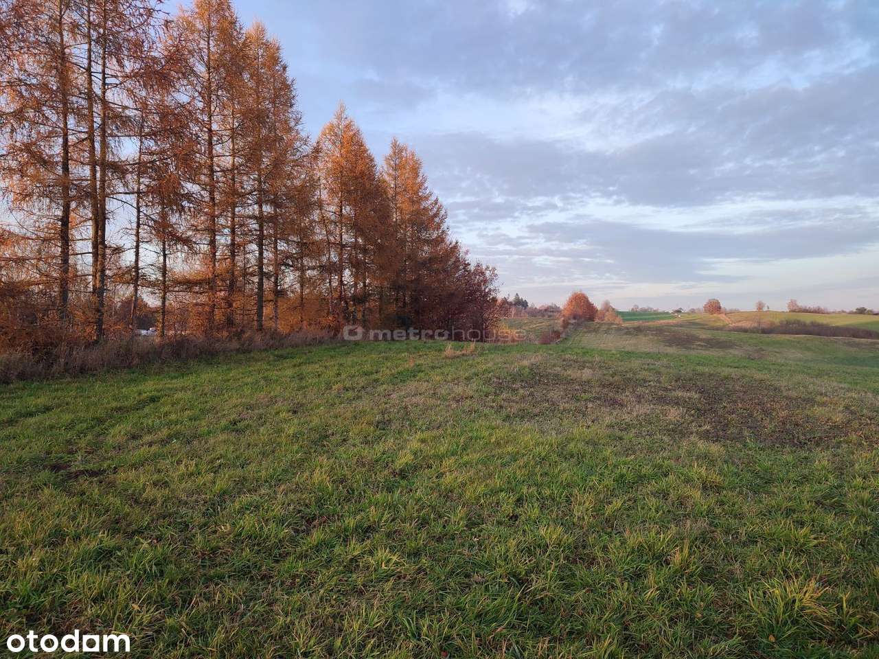 Działki rolne Mostkowo gmina Łukta - Pełny obrazek: 2/7