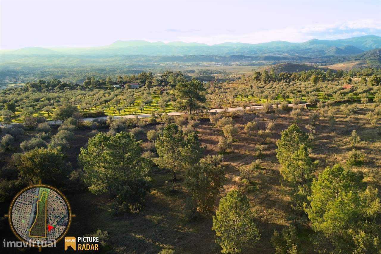 Terreno Plano 6.700m² c/ Vistas Panorâmicas – Salgueiro do Campo-16