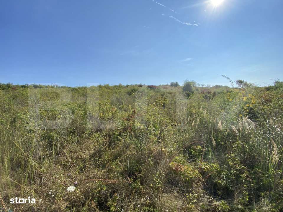 Teren intravilan/extravilan centura Zalau, 8200 mp - Imagine principală: 4/6