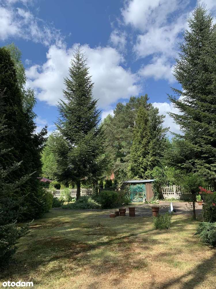 Działka, 937 m², Brzezie - Pełny obrazek: 4/18