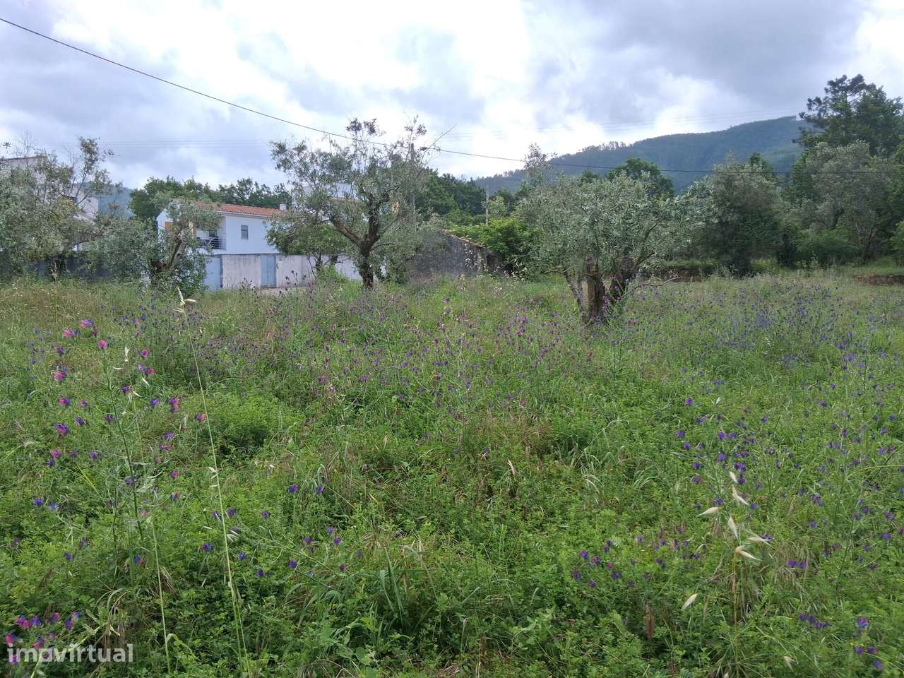 Moradia para Restaurar com Terreno Urbano – Cadaixo, Miranda do Corvo-31