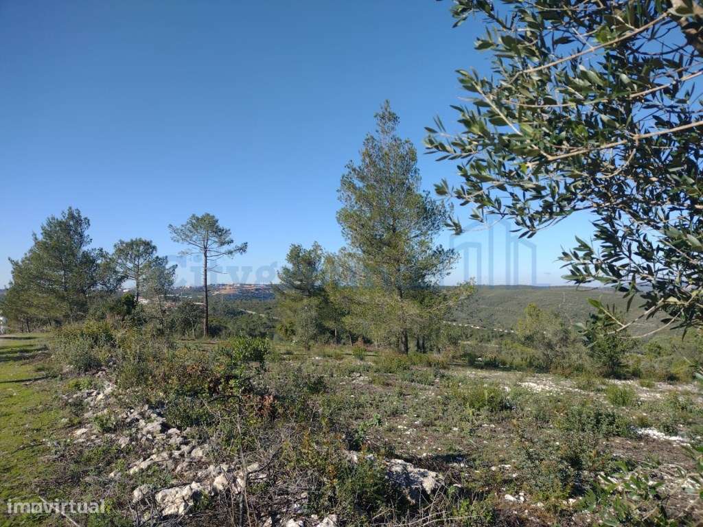 Terreno de 1505m2 urbanizável em Ortiga, Fátima com vista Castelo O...-14