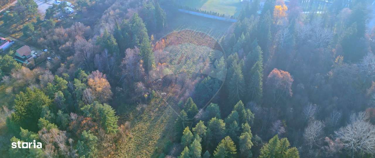 Teren constructii 10,000mp Timisul de Jos , PARCELABIL min 250 mp-4