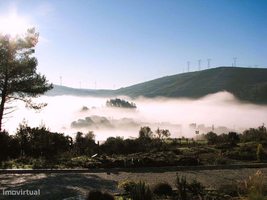 Quinta inserida no seio de uma floresta - Grande imagem: 5/33