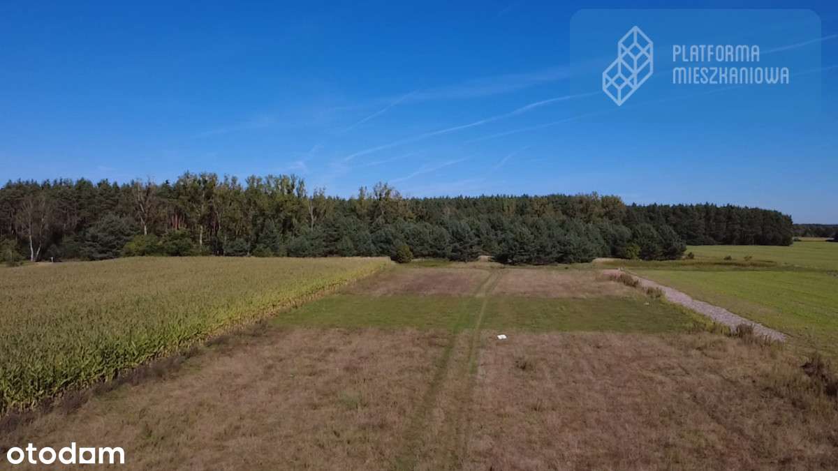 Działki budowlane|Jelcz Laskowice|Media|Droga - Pełny obrazek: 5/11