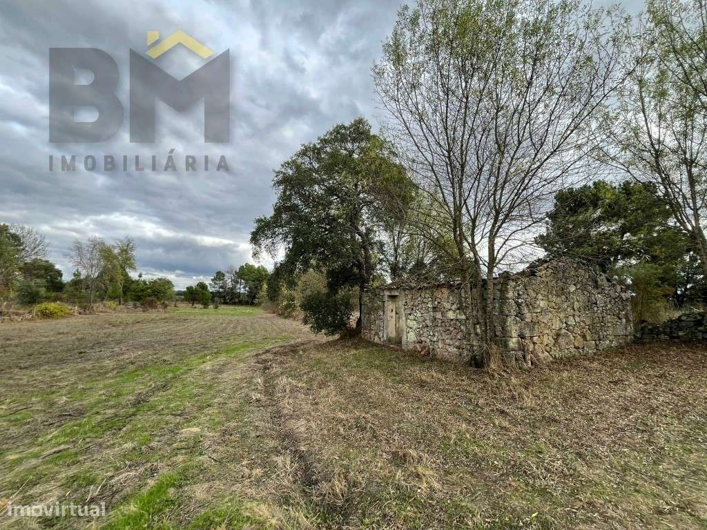Quinta com 3.250m2 para venda na Póvoa de Rio de Moinhos! - Grande imagem: 2/10