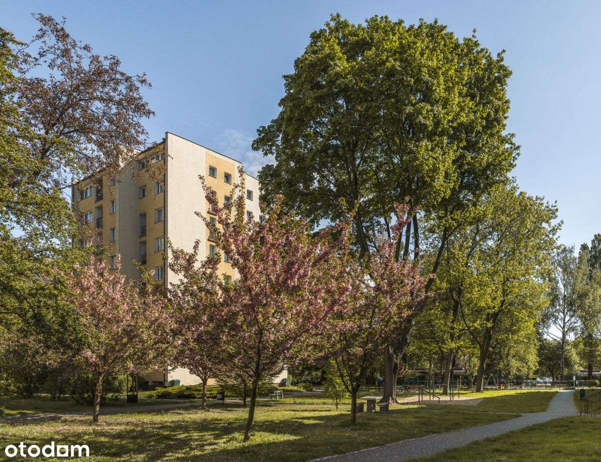 2 pokoje częściowy remont-14