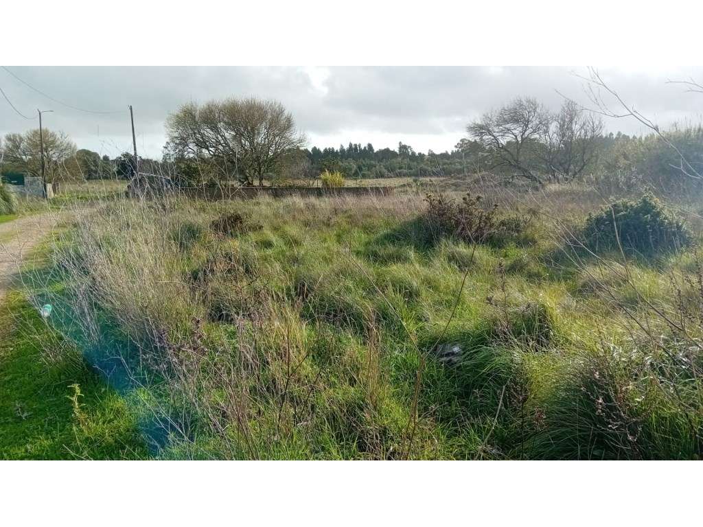 Terreno rústico com Furo de Água | Infraestruturas | Associação de ...-0