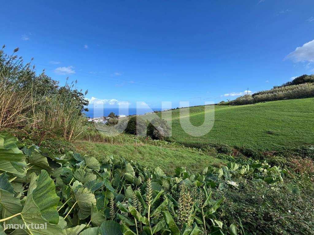 Terreno Rústico em São Pedro Nordestinho-5