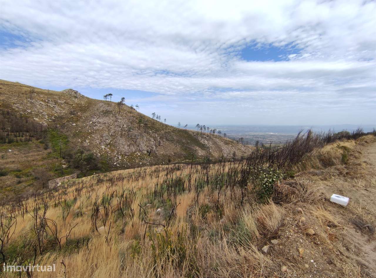 Quinta  Venda em Figueiró da Serra e Freixo da Serra,Gouveia - Grande imagem: 4/6