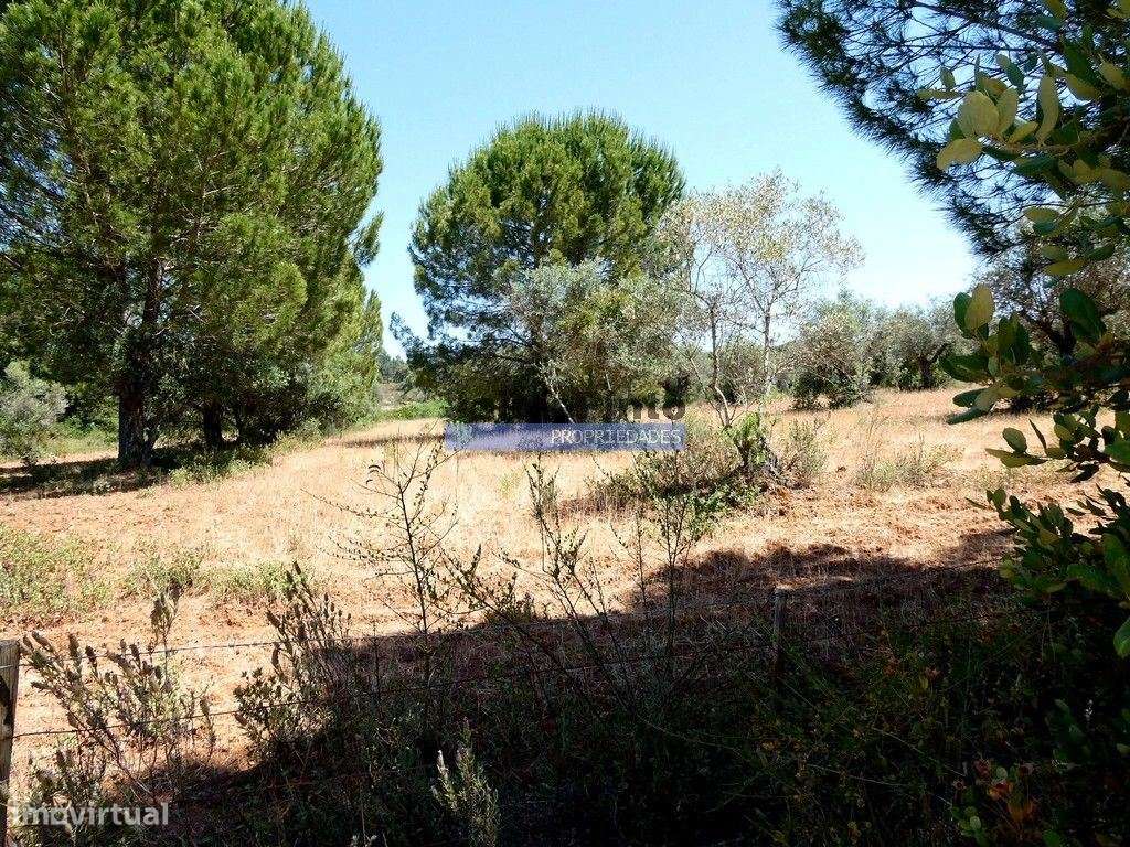Quinta 1,9ha, com armazém de apoio agrícola. Portugal, Alentejo, Po...-3
