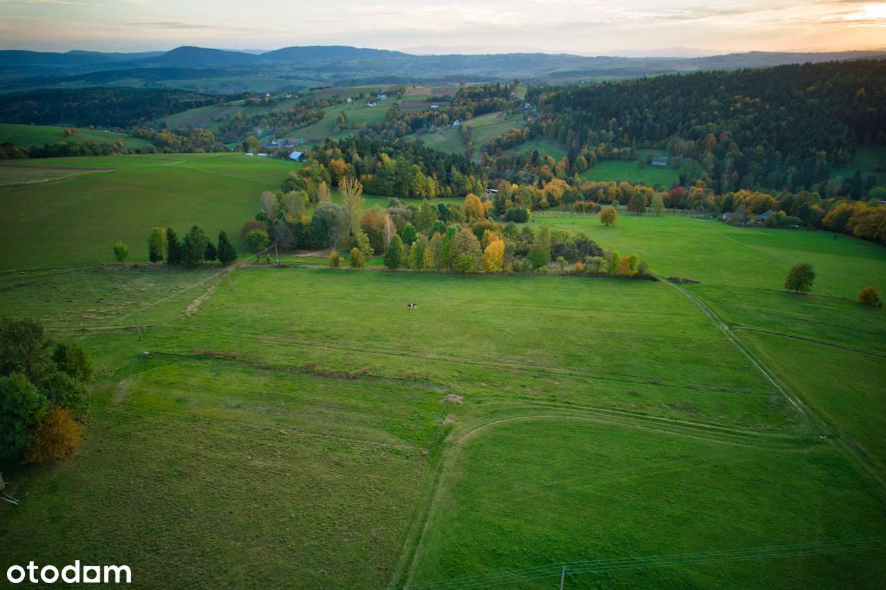 Działka budowlana z widokiem na Beskid - Pełny obrazek: 5/5