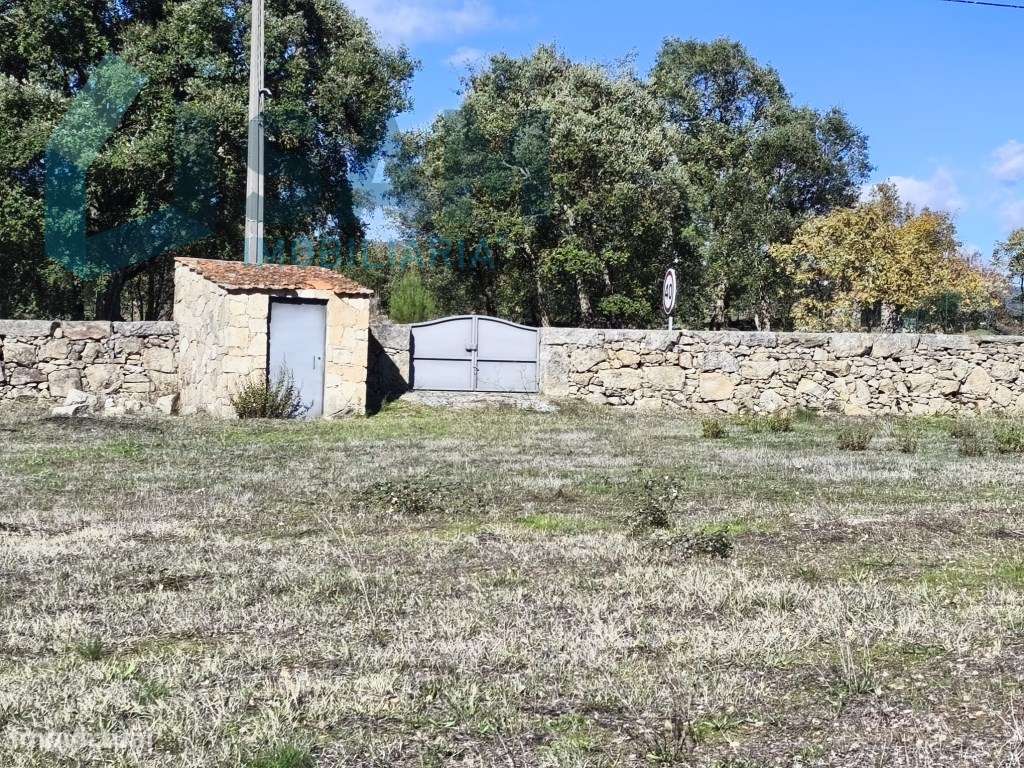 Herdade em Juncais - Fornos de Algodres, Guarda-6