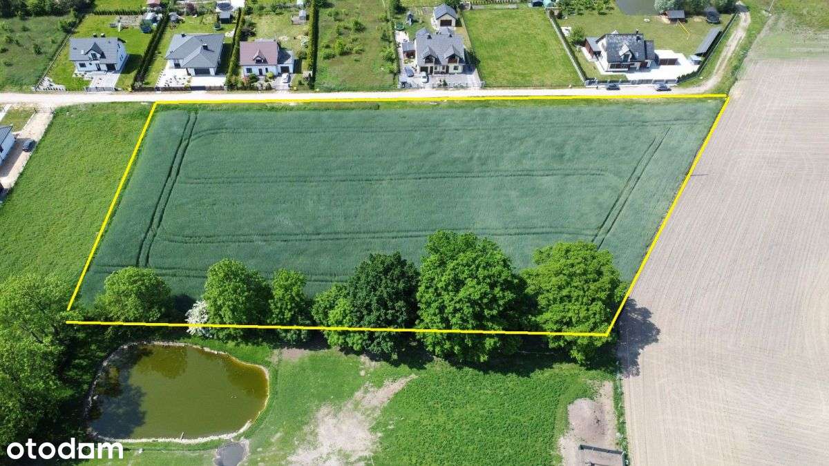 *Duża działka inwestycyjna*9738 m2*Brzozówka* - Pełny obrazek: 4/13