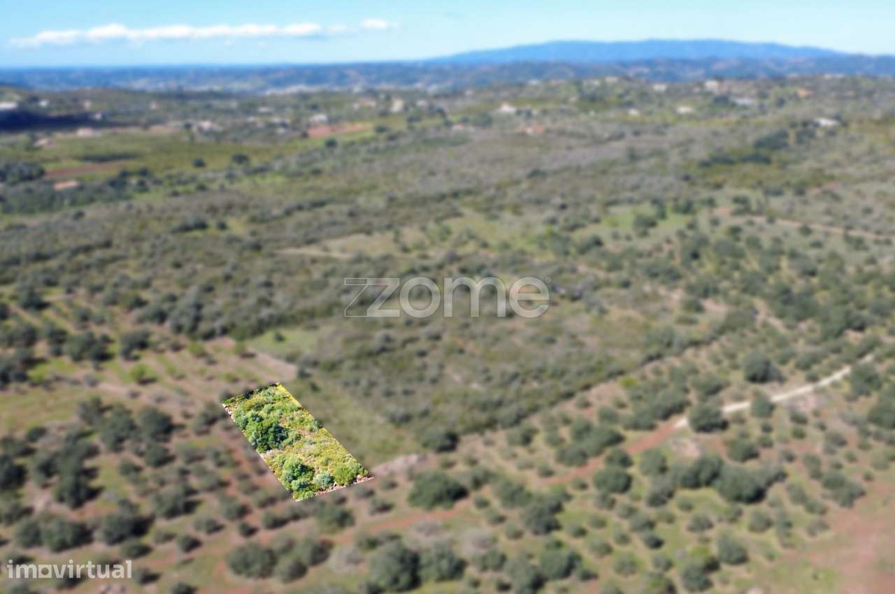 Terreno Rústico com 1390 m² na zona de Lagoão - Grande imagem: 3/17