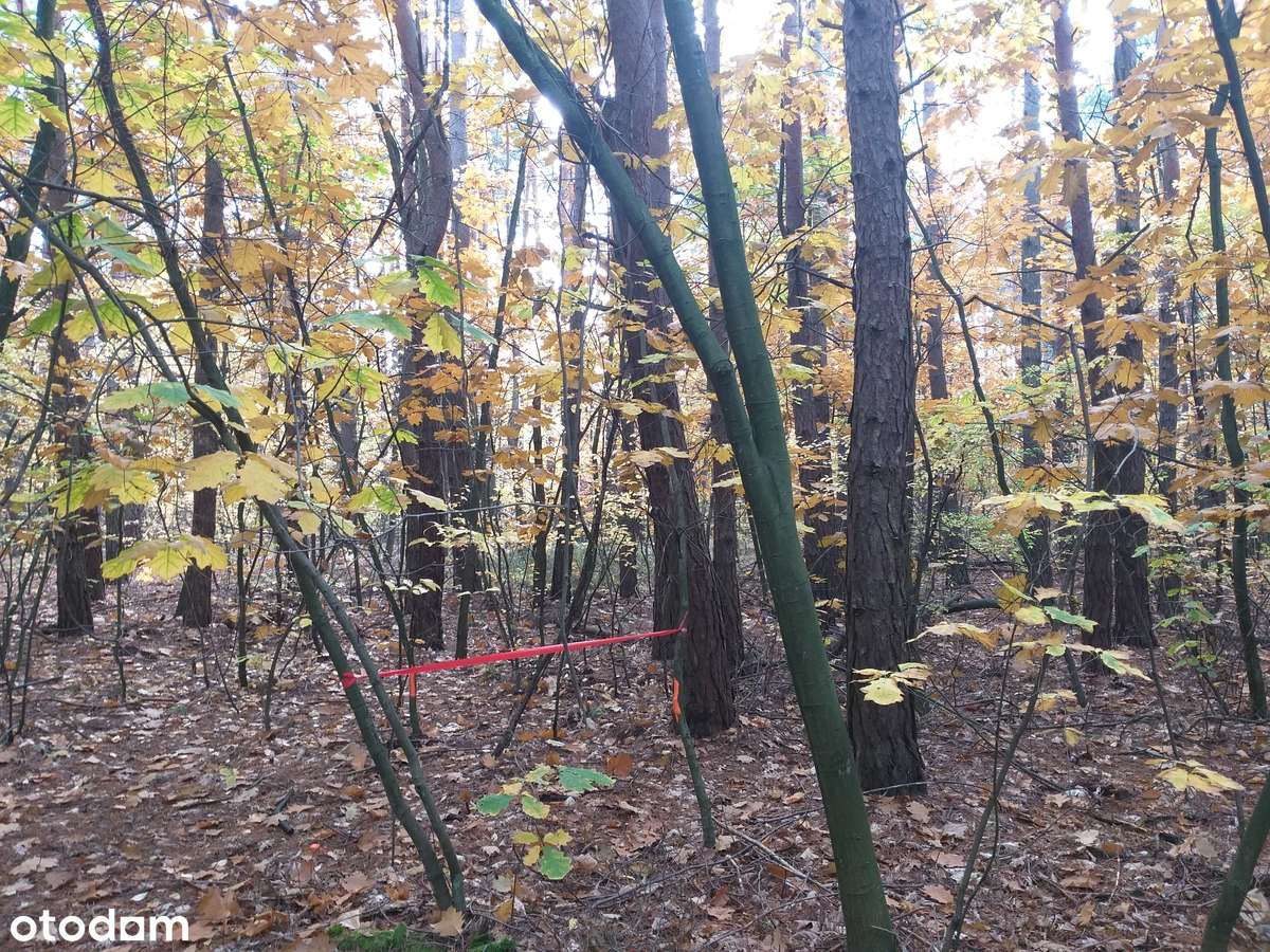 Dz. budowlana: Wawer / Radość. Jest MPZP, zab.jednorodzinna. 0% prow.-1