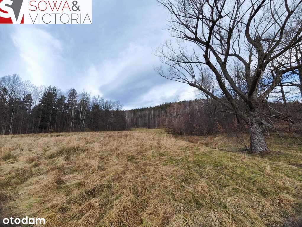 Działka budowlana z widokiem na Szrenice i Chojnik - Pełny obrazek: 4/6