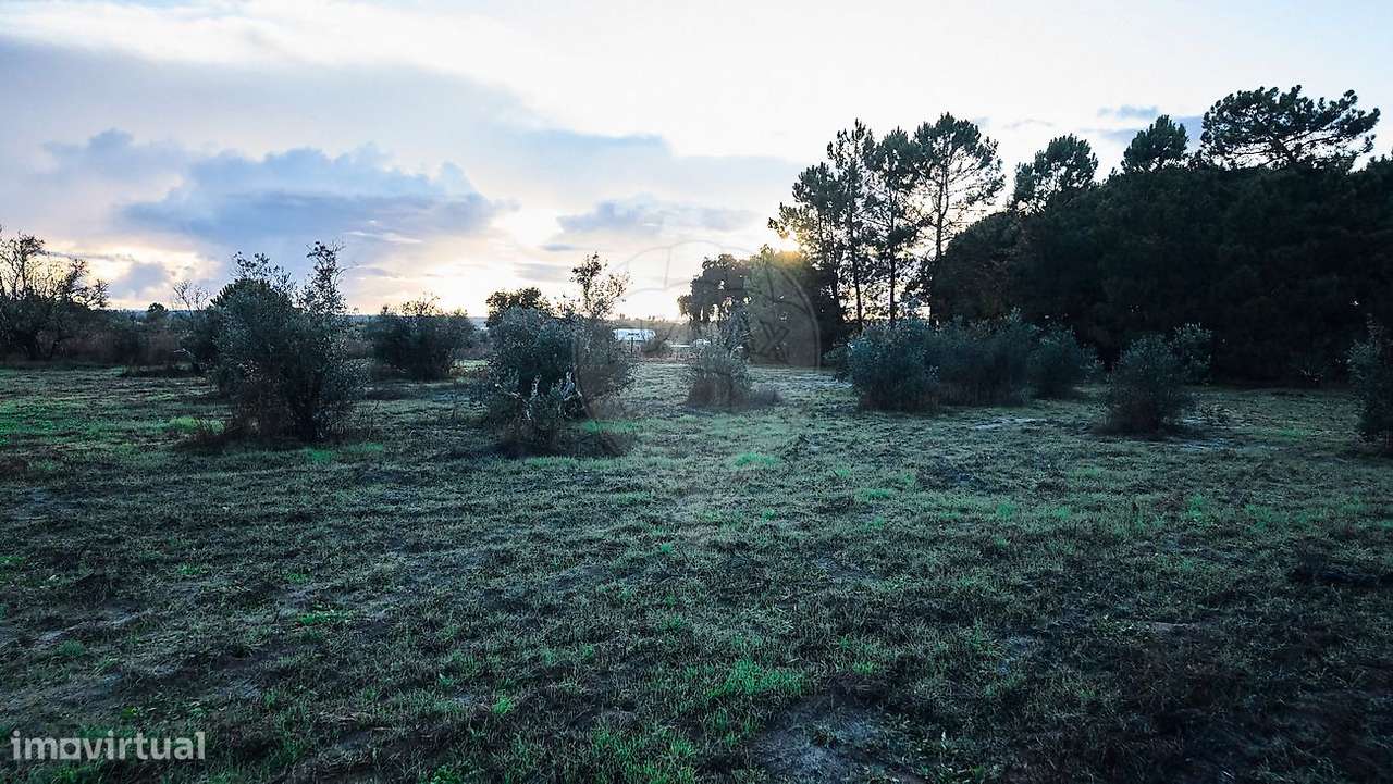 Terreno  para venda-11