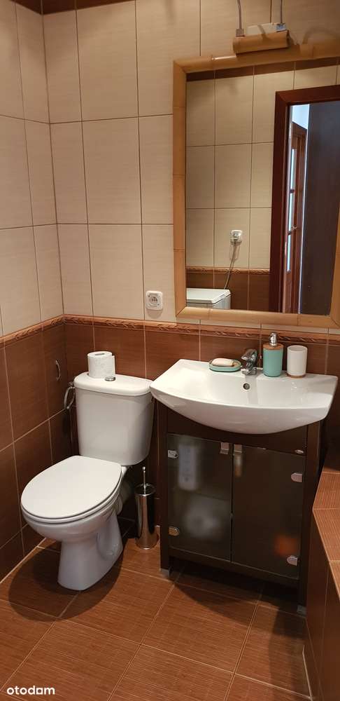 PL/EN Pokój 1-osobowy do wynajęcia,  LSM ul.Zana, Single room for rent - Pełny obrazek: 3/6