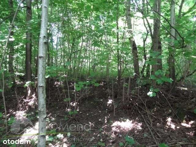 Działka, 27 100 m², Hucisko-5