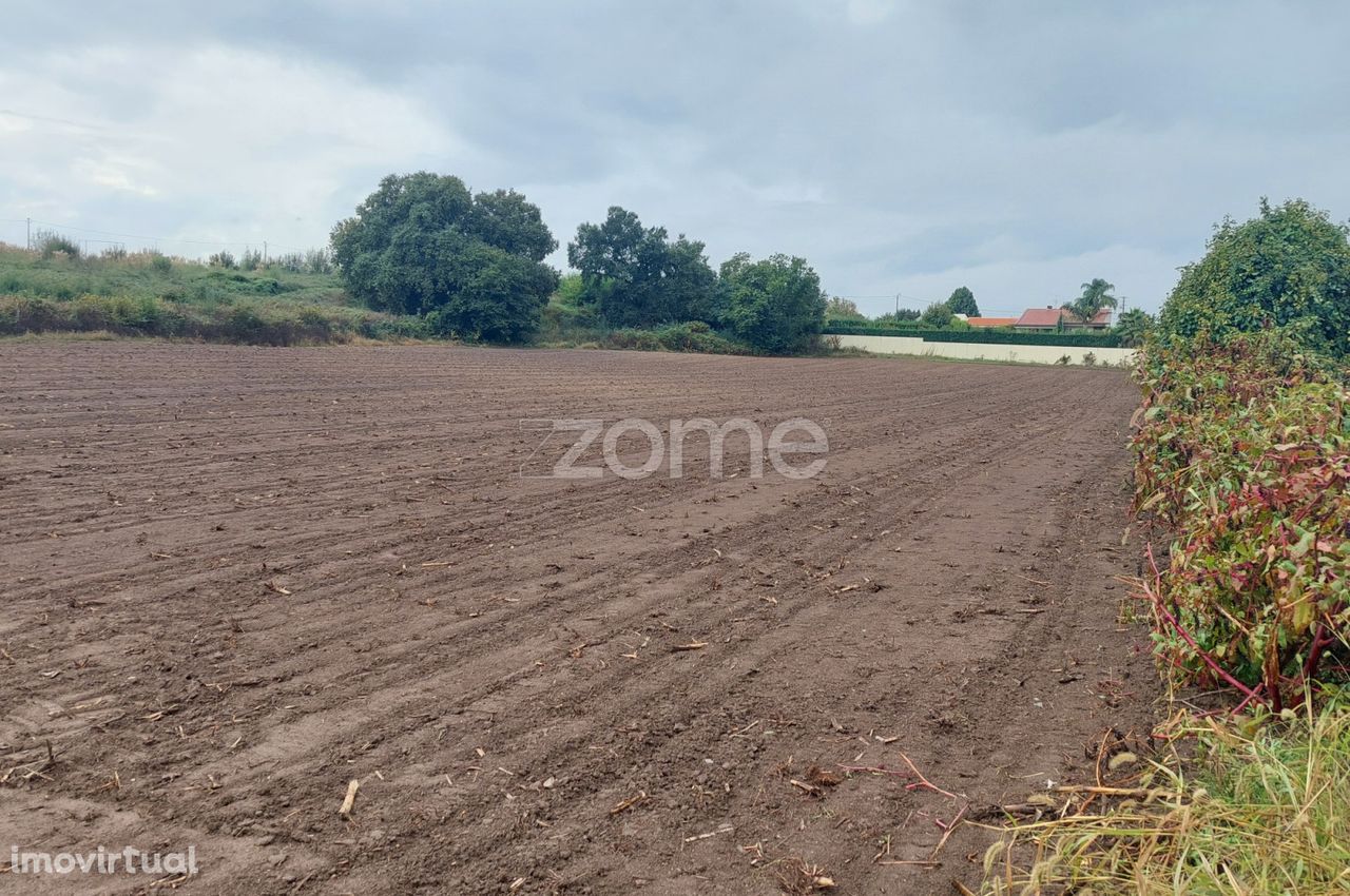 Terreno de 9.000m² possibilidades de construção de moradias em band...