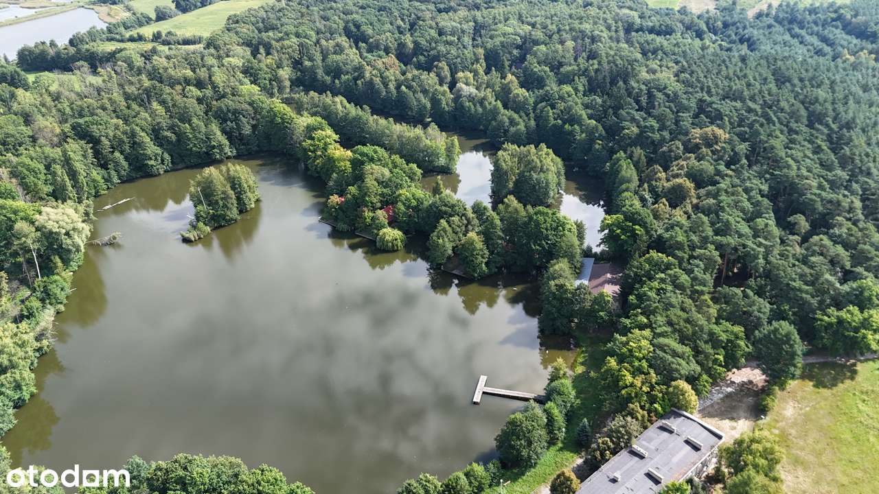 Kompleks działek rekreacyjnych w środku lasu | od 500 m2-2