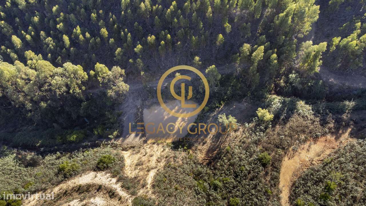 Propriedade de 10 hectares perto da barragem de Odelouca-15