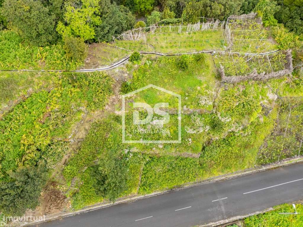 Terreno Rústico  Venda em Seixal,Porto Moniz - Grande imagem: 4/16