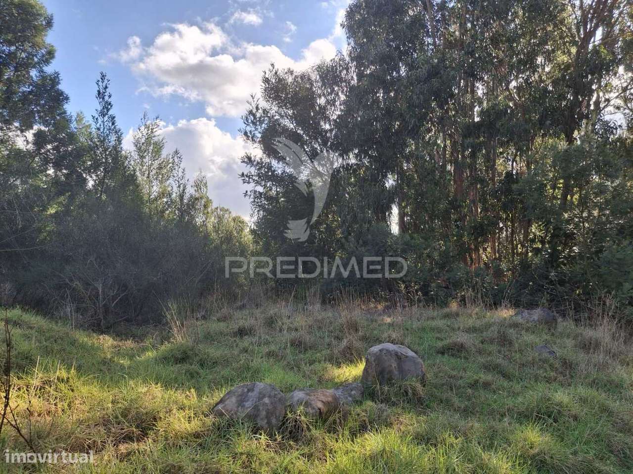 Terreno Gaula - Grande imagem: 4/12